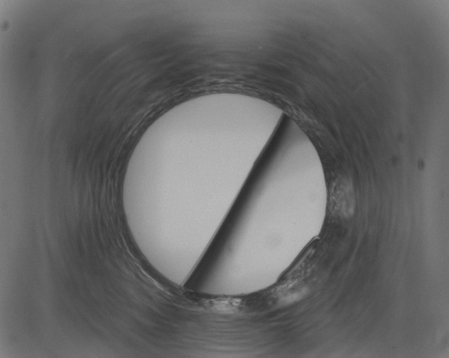 X0000084520474200703091607