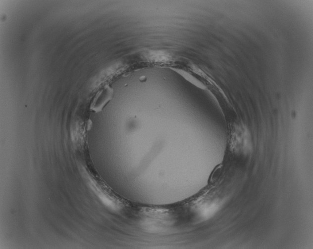 X0000084520476200703091607