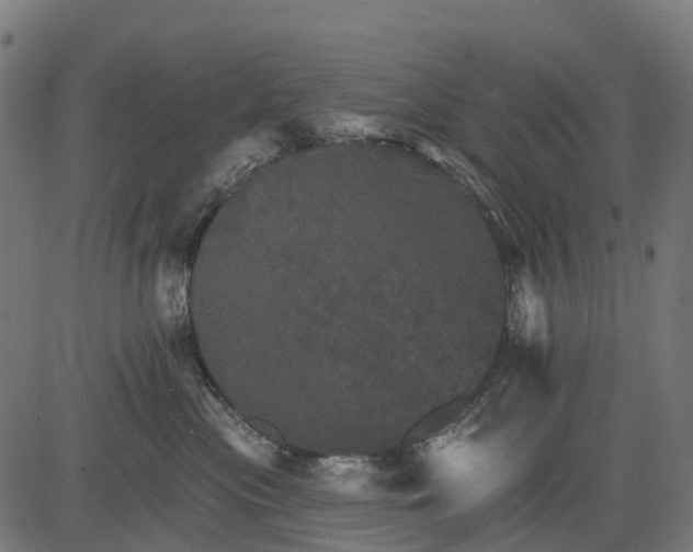 X0000084520477200703091607