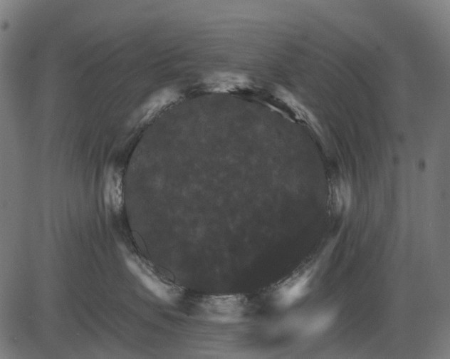 X0000084520479200703091607