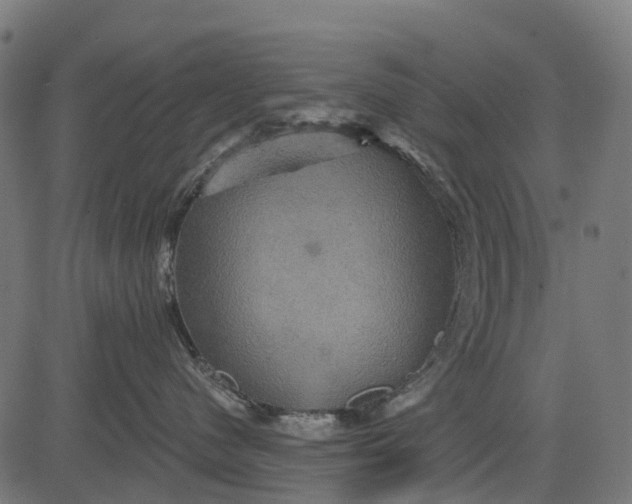 X0000084520480200703091607