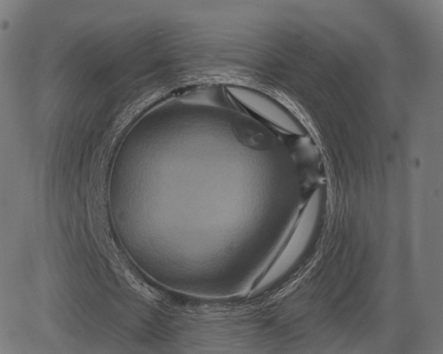 X0000084520481200703091606