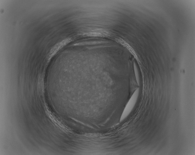 X0000084520482200703091606