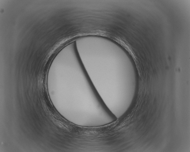 X0000084520483200703091606