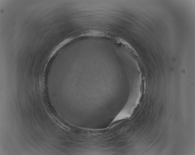 X0000084520484200703091606