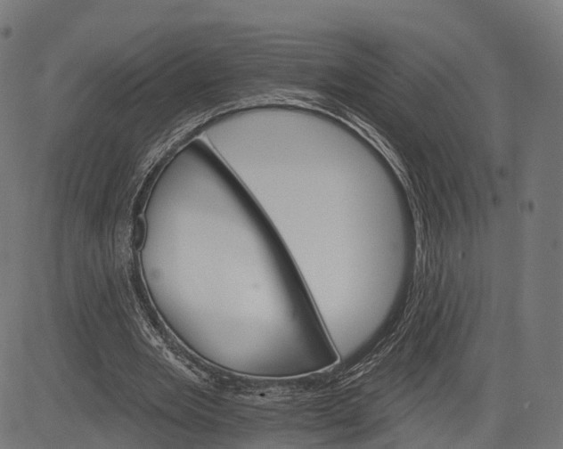 X0000084520485200703091606