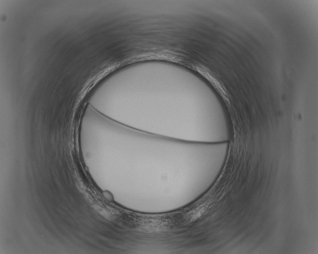 X0000084520486200703091606