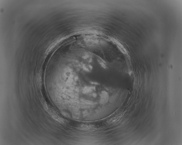 X0000084520487200703091606