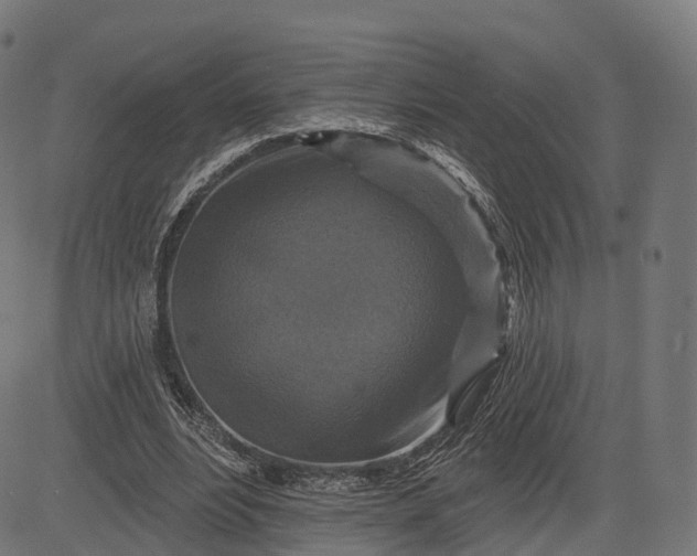 X0000084520488200703091606