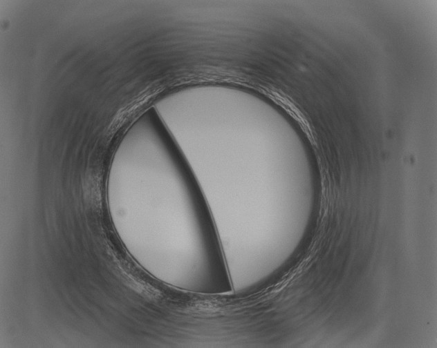 X0000084520489200703091606