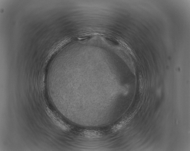 X0000084520490200703091606