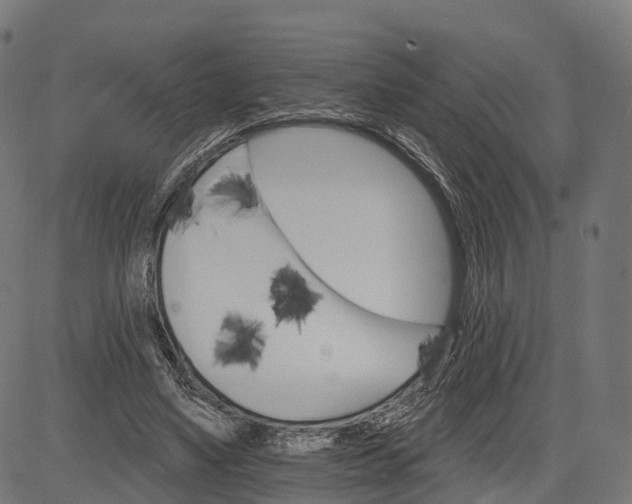 X0000084520491200703091606