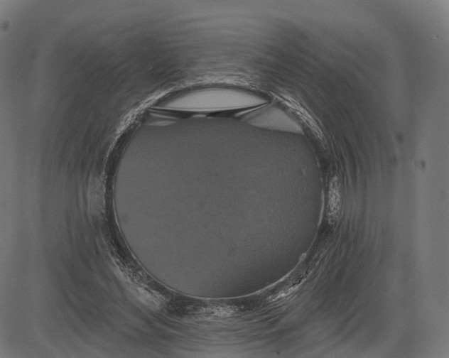 X0000084520492200703091606