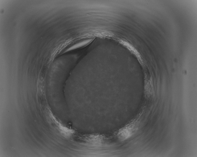 X0000084520493200703091606