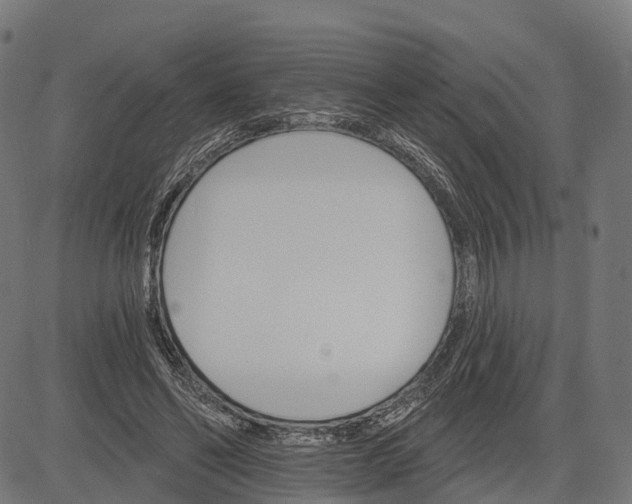 X0000084520494200703091606