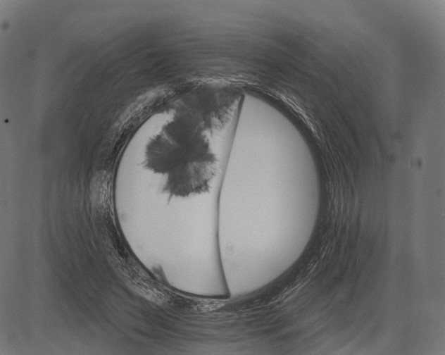 X0000084520495200703091606