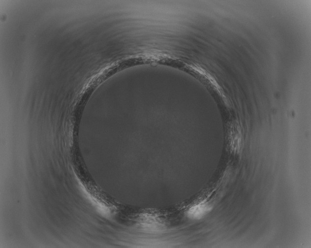 X0000084520496200703091606