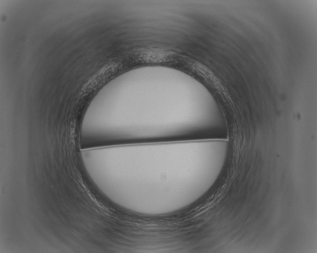 X0000084520497200703091606