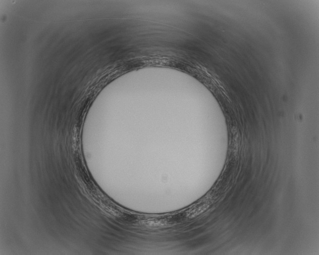 X0000084520498200703091606