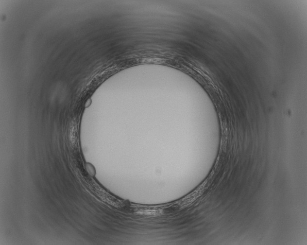 X0000084520499200703091606