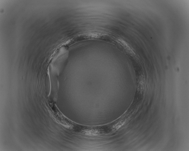 X0000084520500200703091606