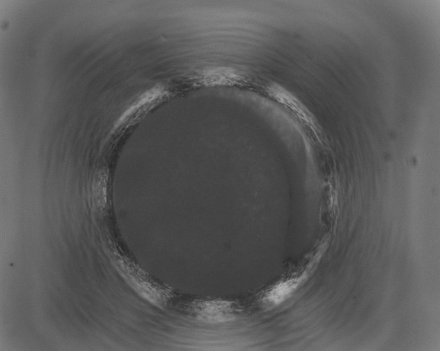 X0000084520501200703091606