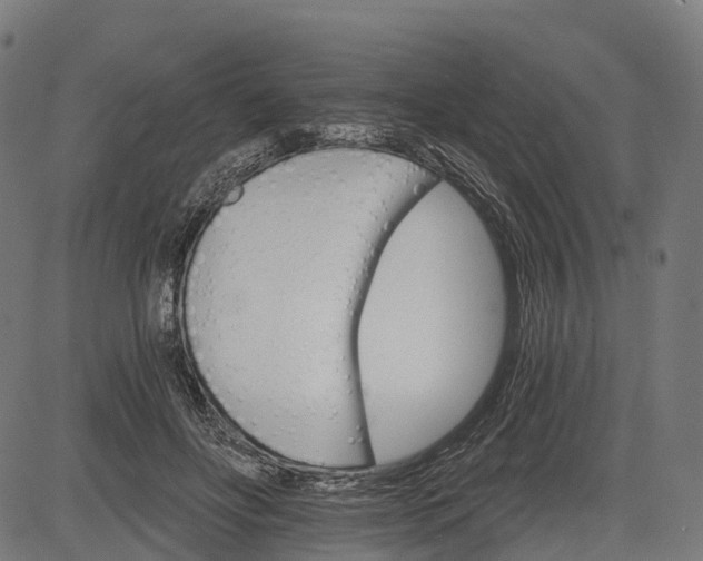 X0000084520502200703091606