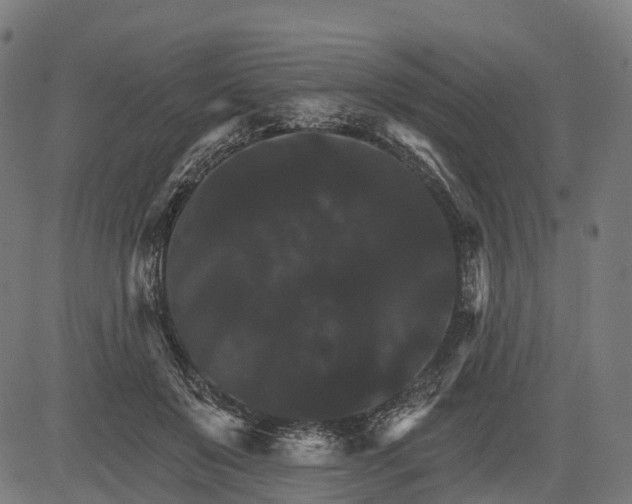 X0000084520503200703091606