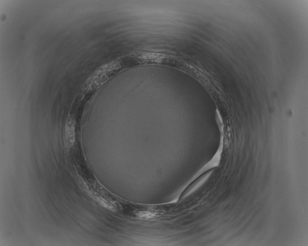 X0000084520504200703091606