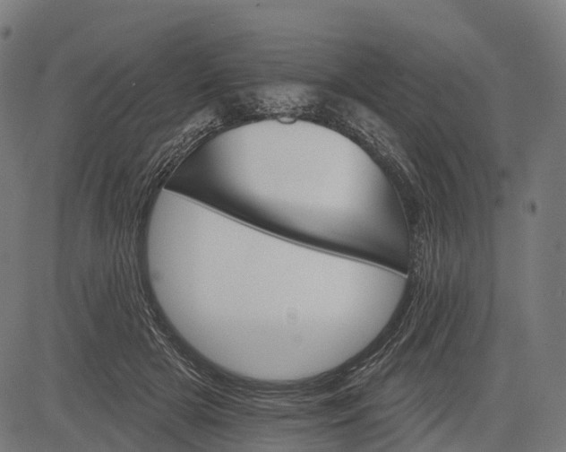 X0000084520505200703091606