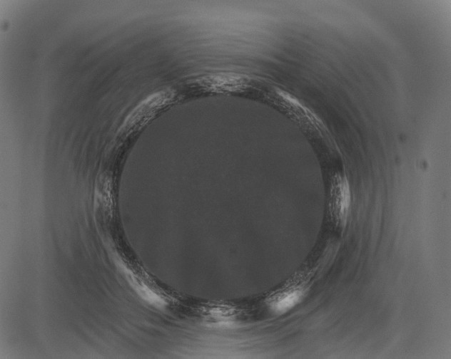 X0000084520506200703091606