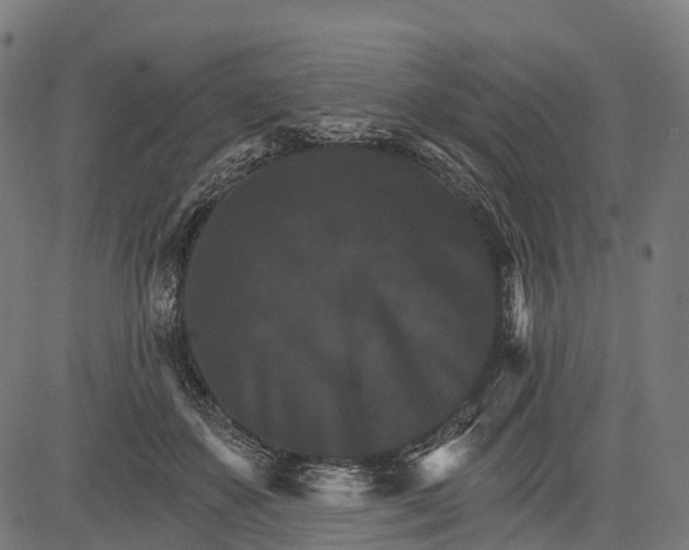 X0000084520507200703091606