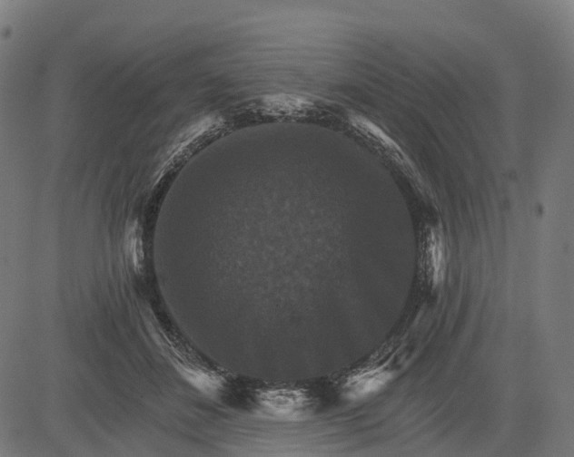 X0000084520508200703091606