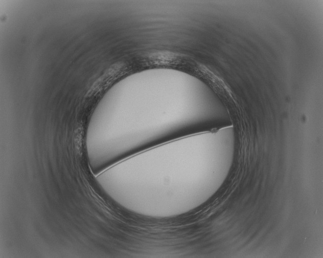 X0000084520509200703091606