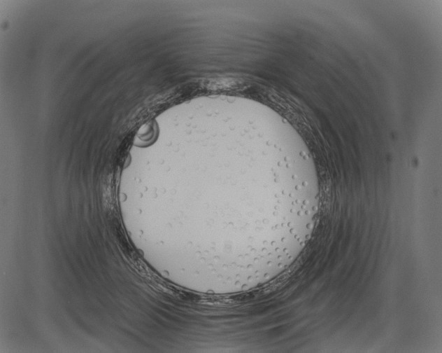 X0000084520510200703091606