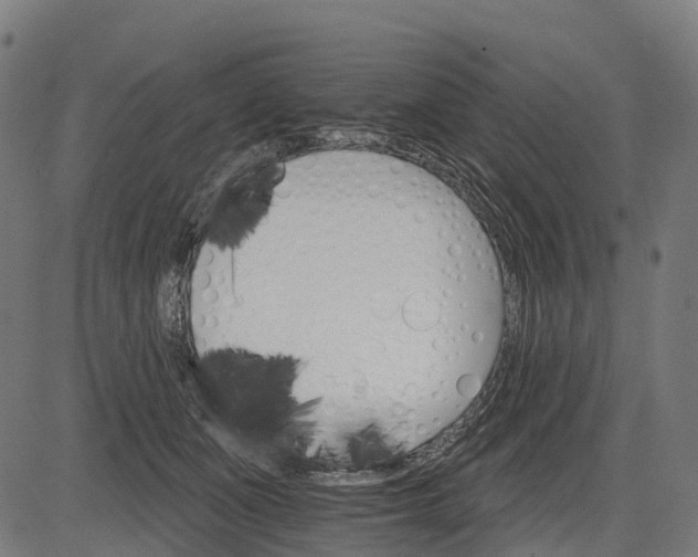 X0000084520511200703091606