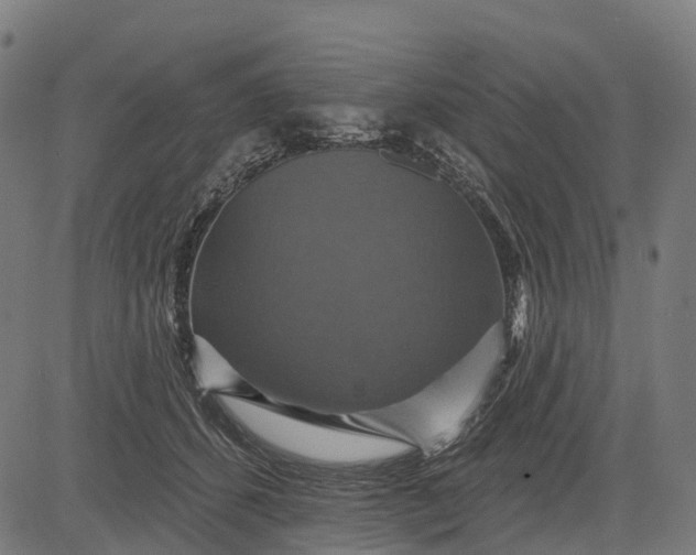 X0000084520512200703091606