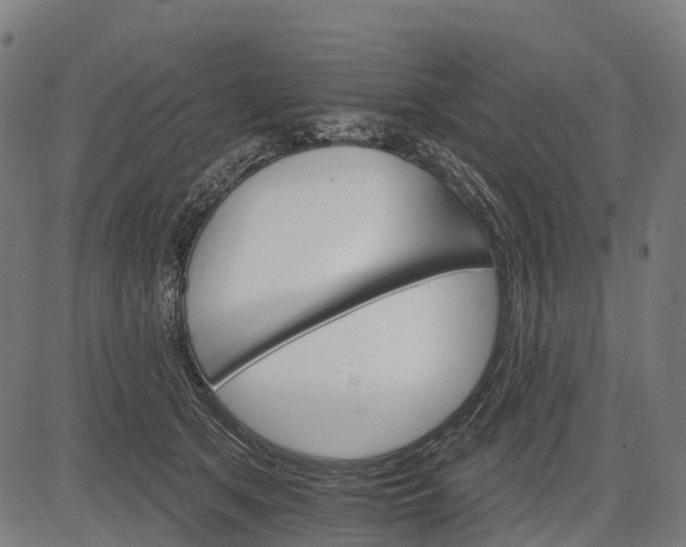 X0000084520513200703091606