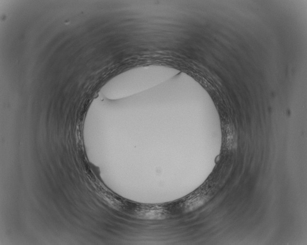 X0000084520514200703091606