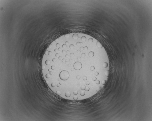 X0000084520515200703091606