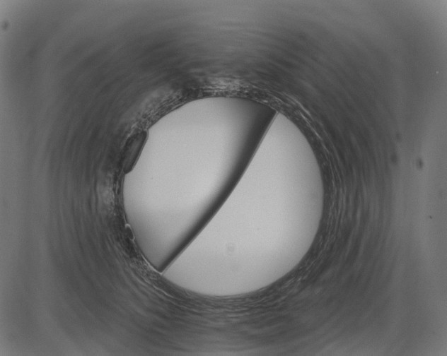 X0000084520516200703091605