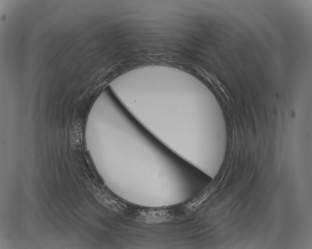 X0000084520517200703091605