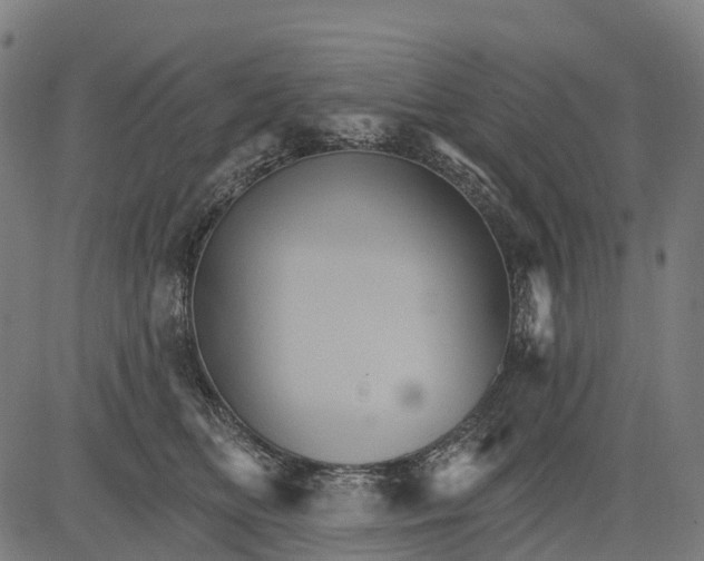 X0000084520518200703091605