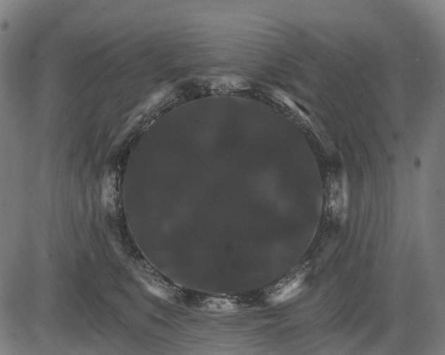 X0000084520519200703091605