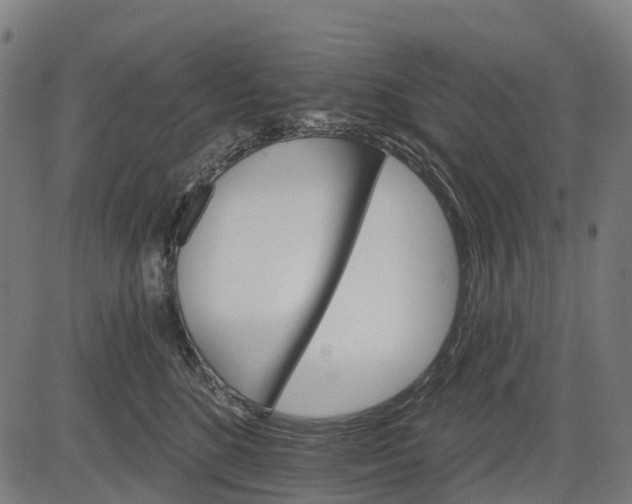 X0000084520520200703091605