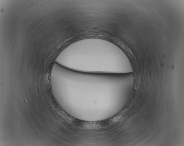 X0000084520521200703091605