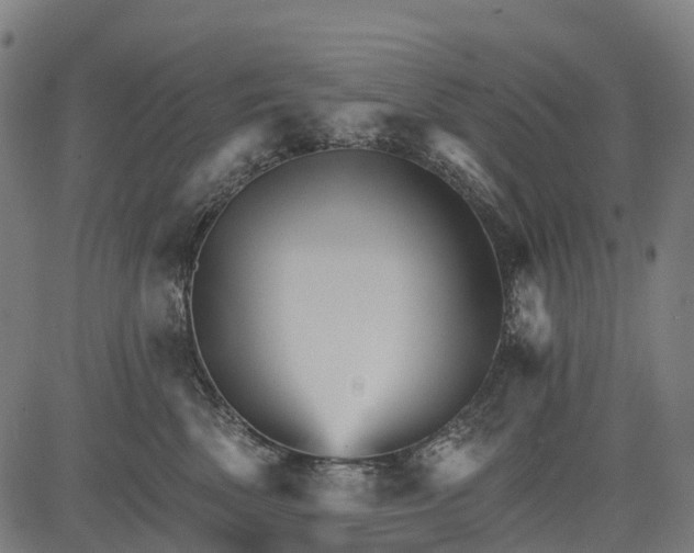 X0000084520522200703091605