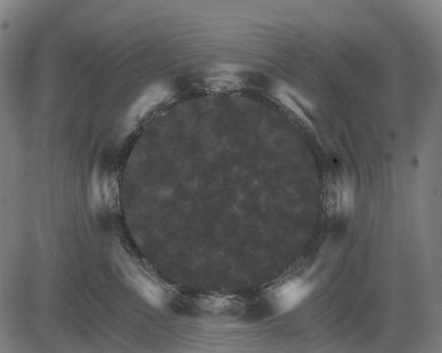 X0000084520523200703091605