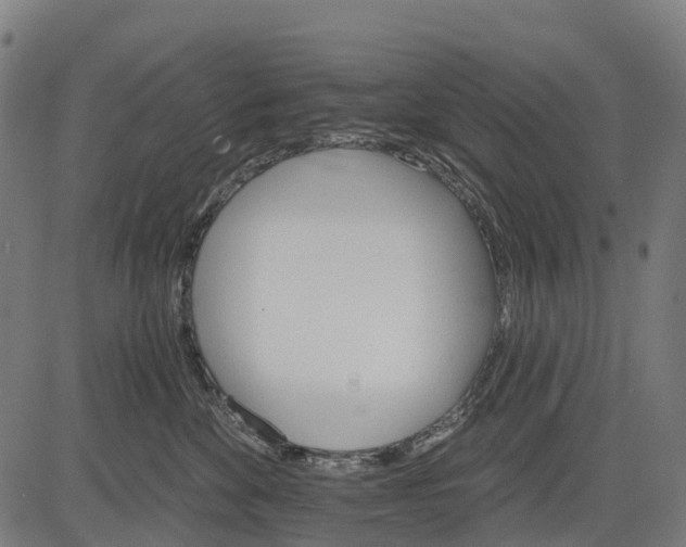 X0000084520524200703091605