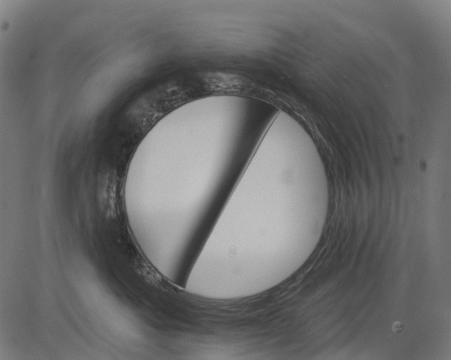 X0000084520525200703091605